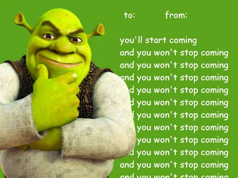 22 Shrek Memes for When The Years Don't Stop Coming - Funny Status