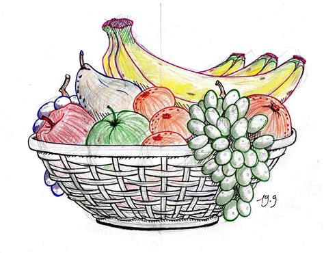 Fruit Basket Drawing at PaintingValley.com | Explore collection of Fruit Basket Drawing