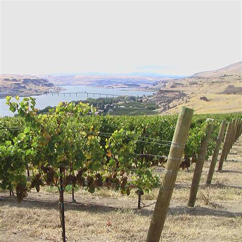 13 Best Washington Wineries