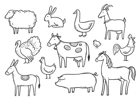 Hand Drawn Farm Animals Stock Photos, Pictures & Royalty-Free Images ...