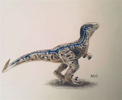 Baby Blue Velociraptor Tattoo