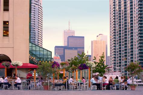 7 Must-Try Restaurants in Downtown Toronto