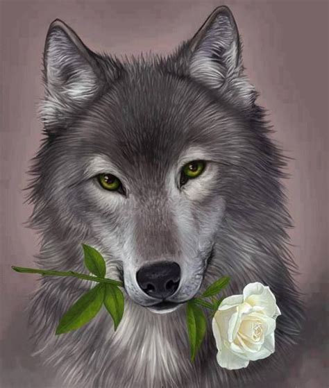 El lobo con una rosa blanca :D