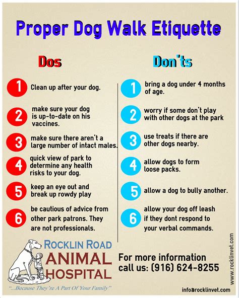 Dog Walking Etiquette | Rocklin Road Animal Hospital | Dog walking, Dog care tips, Dog training tips