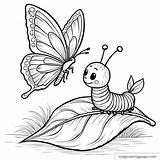 Free Butterfly Coloring Pages  67 Printable Designs sketch template