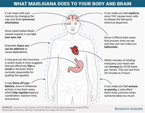 Mental and physical effects of marijuana - Business Insider