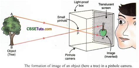 Pinhole Camera - A Camera Without Lens - CBSE Tuts