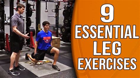 Strength Training Workout For Basketball Players | EOUA Blog