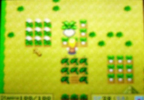 Harvest Moon Forever: The Legendary Harvest Sprites in HM DS and Cute