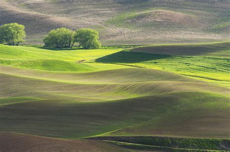 Palouse in spring color Photograph by Hisao Mogi - Fine Art America