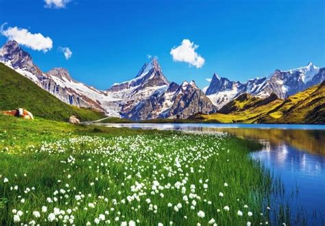 Walking Trip in Switzerland | Tour the Swiss Alps | Orbis Ways