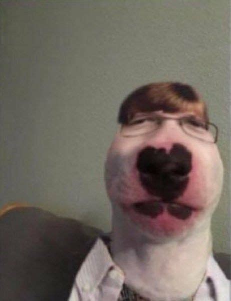 Nerd walter Dog Memes, Dankest Memes, Jokes, Tele Sena, Reaction Pictures, Funny Pictures, Thats ...