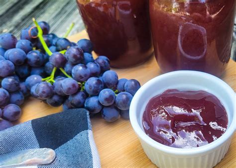 Fastest Homemade Grape Jelly Using Concord Grapes - The Hobby Wife