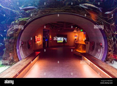 California academy of sciences aquarium hi-res stock photography and images - Alamy