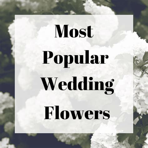 10 of the Most Popular Wedding Flowers, and What You Should Know Before Choosing Them - Holidappy