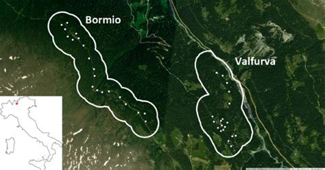 Map of the two study areas in Stelvio National Park. Dots indicate... | Download Scientific Diagram