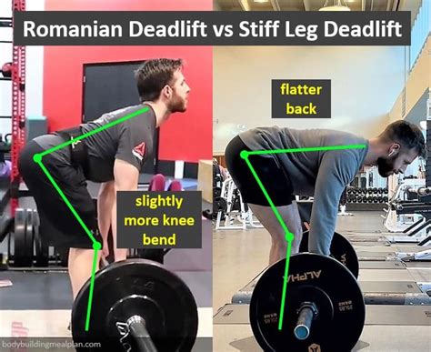 Romanian Deadlift vs Stiff Leg Deadlift: Differences & Muscles Worked ...