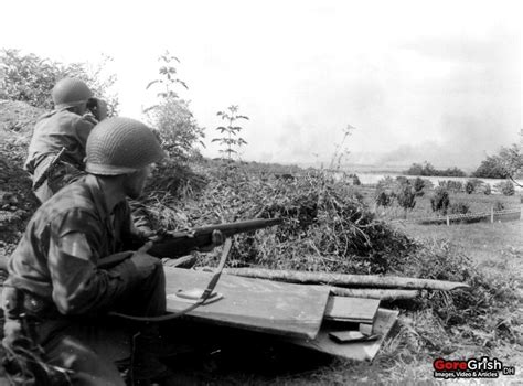 The Falaise Gap: WWII | Goregrish