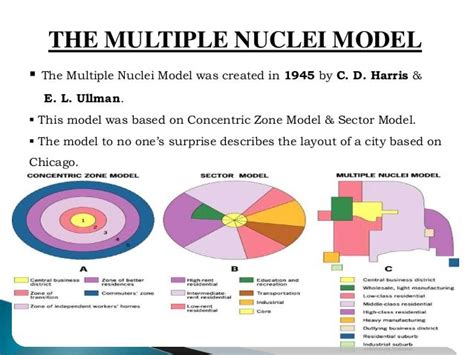 Multi Nuclei Model