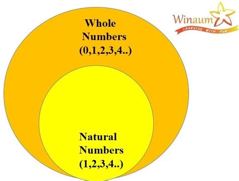 Properties of Whole Number | Explanation | Examples - Winaum Learning