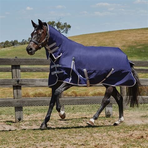 WeatherBeeta® ComFiTec™ Essential Combo Neck Medium Weight Turnout Blanket in Horse Blankets And ...