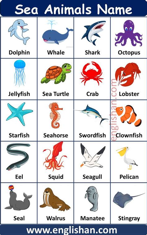 200+ Water animals Name | Animals name in english, Animal pictures for ...