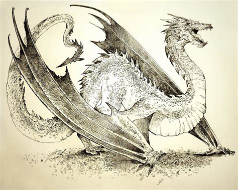 Smaug Dragon Drawing