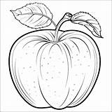 Apple fruit coloring Page For kids Line Vector Illustration  sketch template