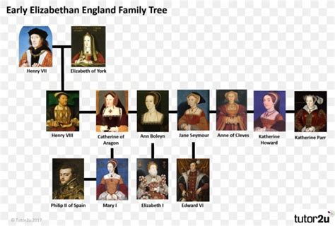 King Henry VIII Timeline of Events | History, Timeline