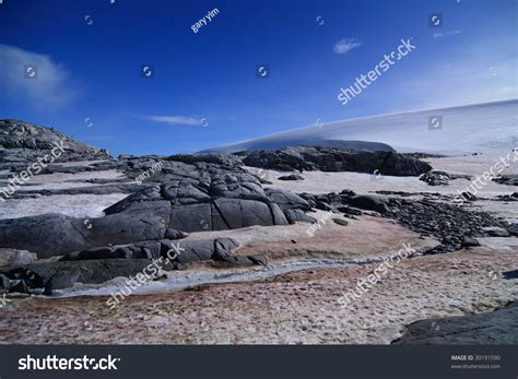 Snow Algae In Antarctica Stock Photo 30191590 : Shutterstock