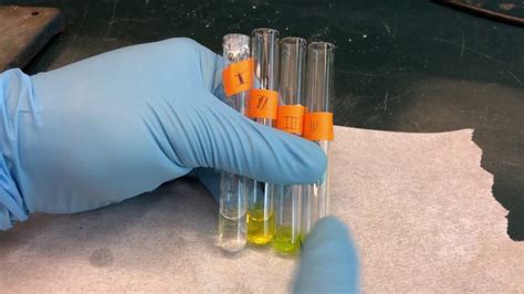 (Final) Isolation of Chlorophyll And Carotenoid Pigments From Spinach ...