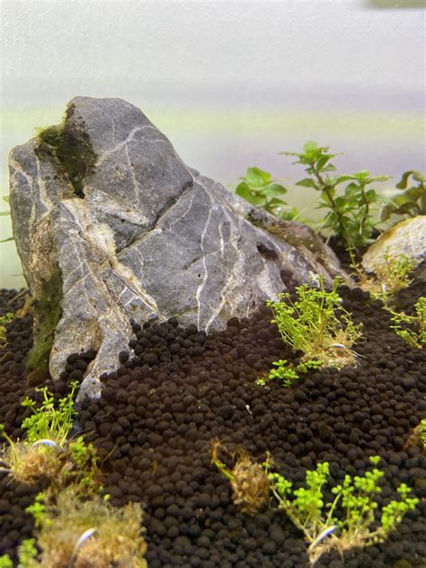 Cycling with Fluval Bio-Stratum : r/Aquascape