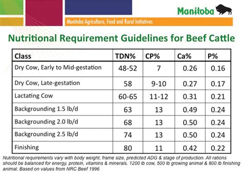 Cattle producers have forage concerns after wet season