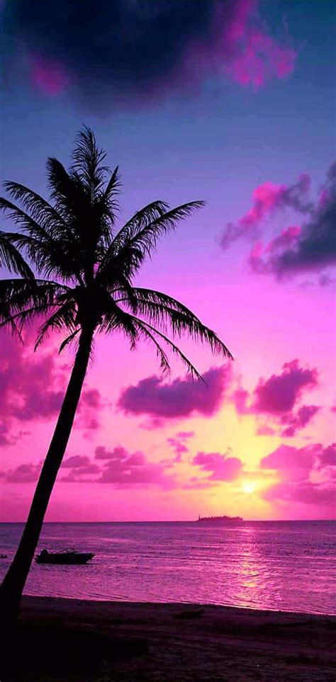 Download Tropical Sunset Violet Light Over The Beach Wallpaper ...