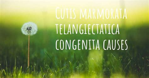 Which are the causes of Cutis marmorata telangiectatica congenita?