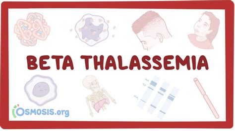 Beta-thalassemia - causes, symptoms, diagnosis, treatment, pathology - YouTube