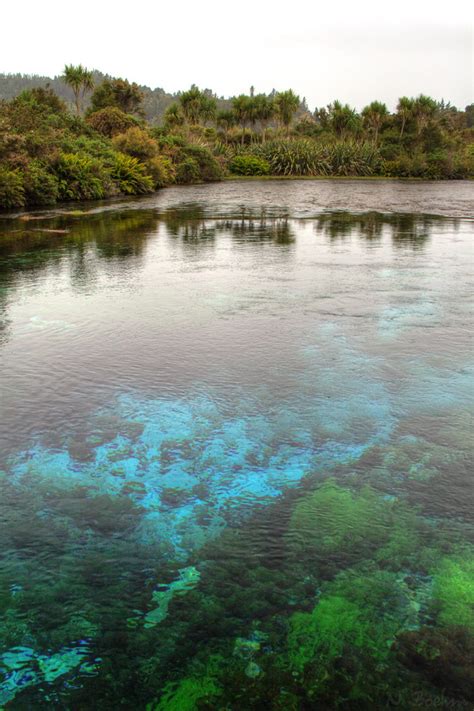 Te Waikoropupu "Pupu" Springs | "Te Waikoropupū Springs, dis… | Flickr