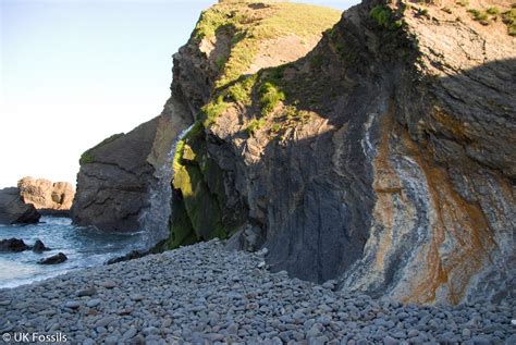 UK Fossil Collecting