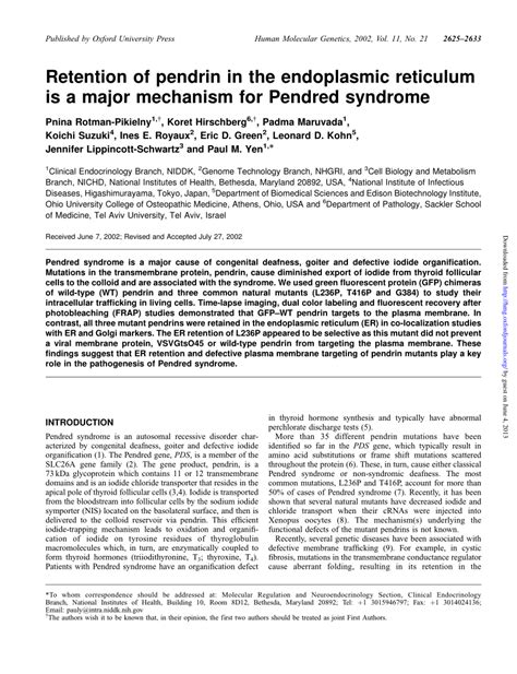 (PDF) Retention of pendrin in the endoplasmic reticulum is a major mechanism for Pendred syndrome