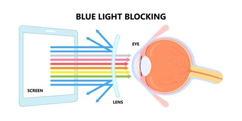 Blue Light Blocking Glasses Blaine | Eyeglasses Blaine | Blaine