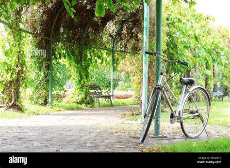 vintage bicycle in garden Stock Photo - Alamy