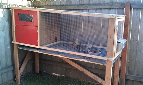 Build a quail hutch – Artofit