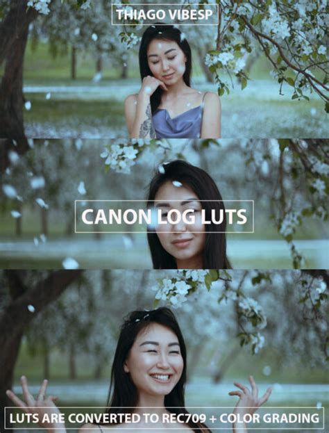 Professional LUTs for Canon Log Videos - FilterGrade