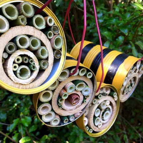 Making some tin shack native bee hotels. A fun way to recycle tin cans ♻️🐝 | Recycled tin cans ...