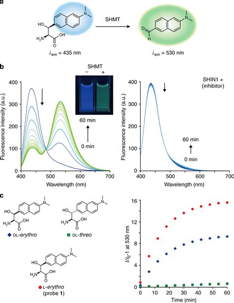 Fluorescent probe targeting hSHMT. a Schematic illustration of hSHMT... | Download Scientific ...