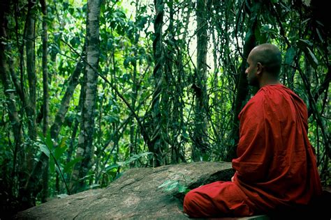 Meditation Bhikkhu Mahamevnawa Sri - Free photo on Pixabay