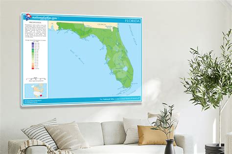 Florida-Annual Precipitation Map, 2022 - Canvas Wrap