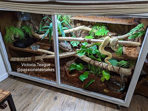 DIY snake cage enclosure tank terrarium vivarium boa constrictor imperator | Snake cages, Snake ...