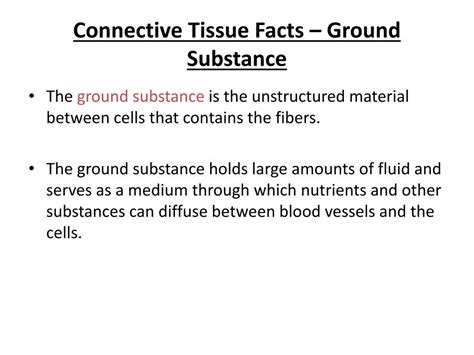 PPT - Histology 2 – Connective Tissue PowerPoint Presentation, free ...