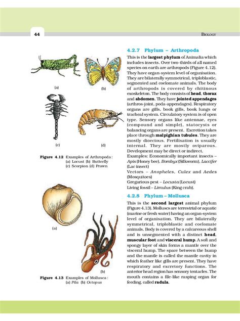 NCERT Book Class 11 Biology Chapter 4 Animal Kingdom | AglaSem Schools